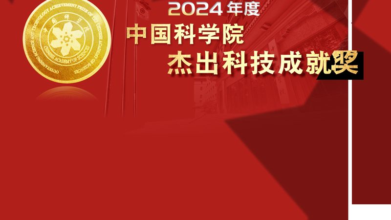 揭秘上海数据服务公司：如何选择优质合作伙伴